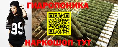 СК Ливны