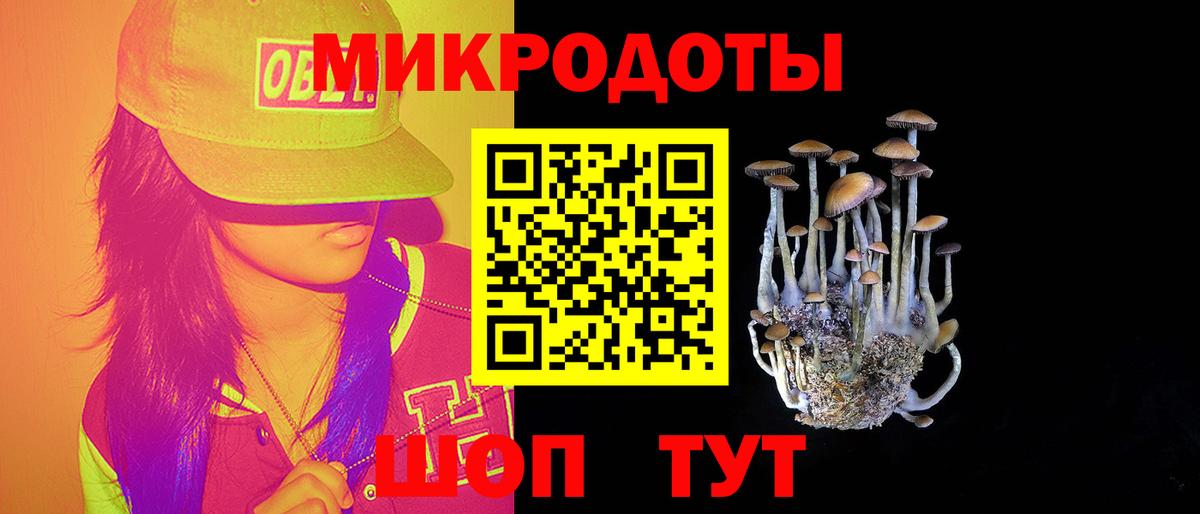 Жигулёвск  Галлюциногенные грибы Psilocybe  Вход с VPN 